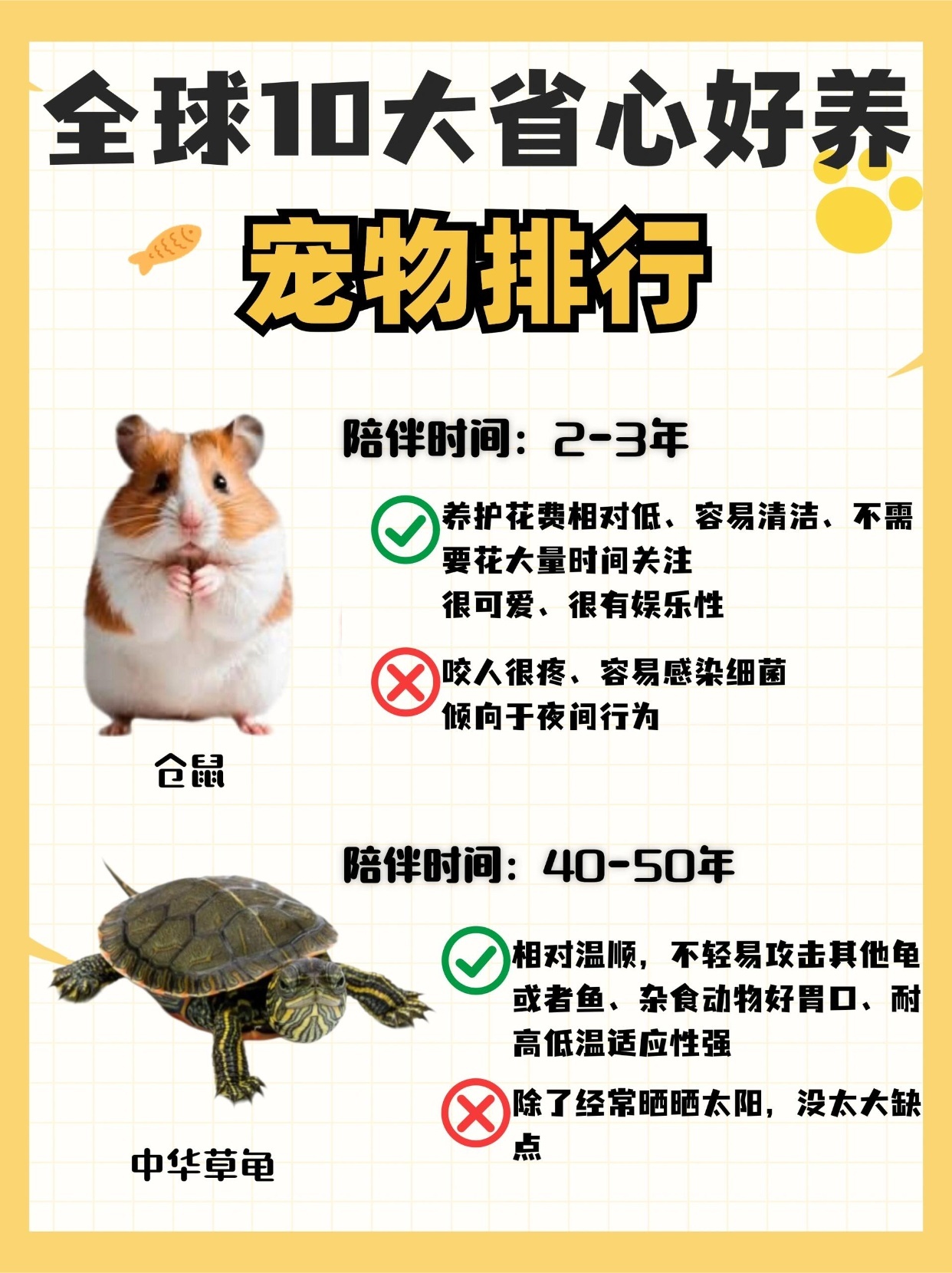 世界十大最可爱的宠物2026年本年度热度口碑双榜对比
