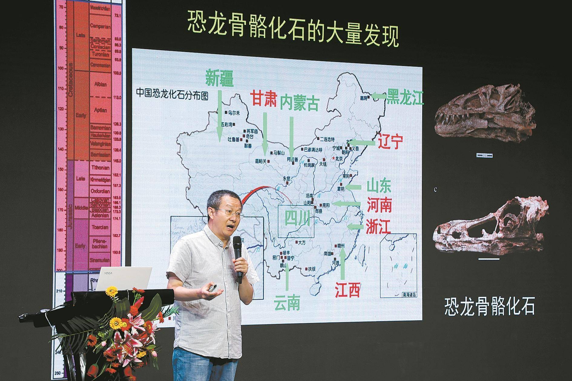 中国十大最著名的恐龙化石2026年本年度热度口碑双榜对比