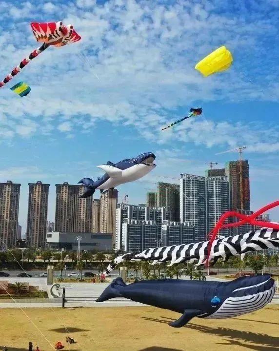 汕头十大适合露营的地方2026年本年度热度口碑双榜对比