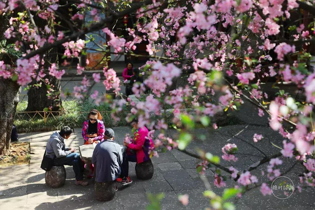 昆明十大著名寺庙2026年本年度热度口碑双榜对比 昆明十大著名寺庙2026年本年度热度口碑双榜对比