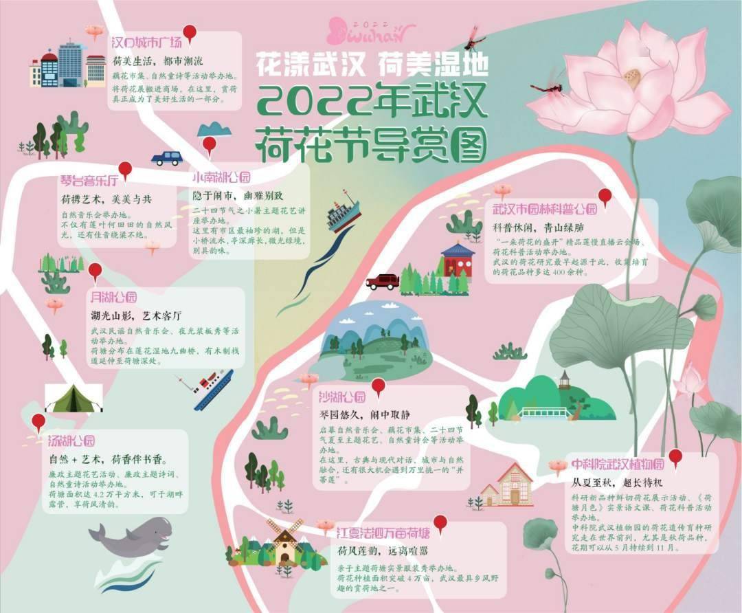 武汉十大赏荷花好去处2026年本年度热度口碑双榜对比
