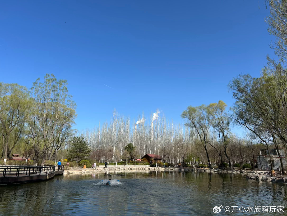 太原尖草坪区著名旅游景点2026年本年度热度口碑双榜对比