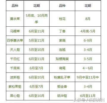 郑州十大农家乐2026年本年度热度口碑双榜对比