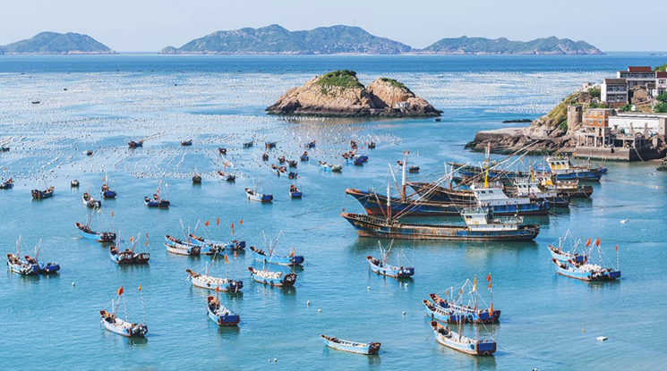浙江十大著名海岛2026年本年度热度口碑双榜对比