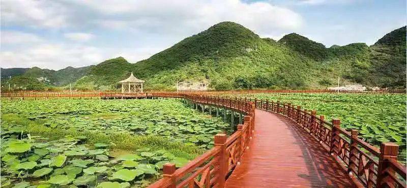 安顺十大网红景点2026年本年度热度口碑双榜对比