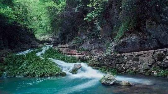湖北最适合学生旅游的景点2026年本年度热度口碑双榜对比