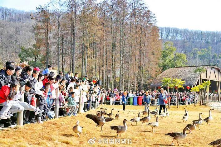 湖北最适合学生旅游的景点2026年本年度热度口碑双榜对比