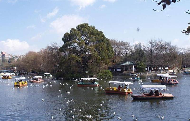 昆明十大适合亲子旅游的地方2026年本年度热度口碑双榜对比