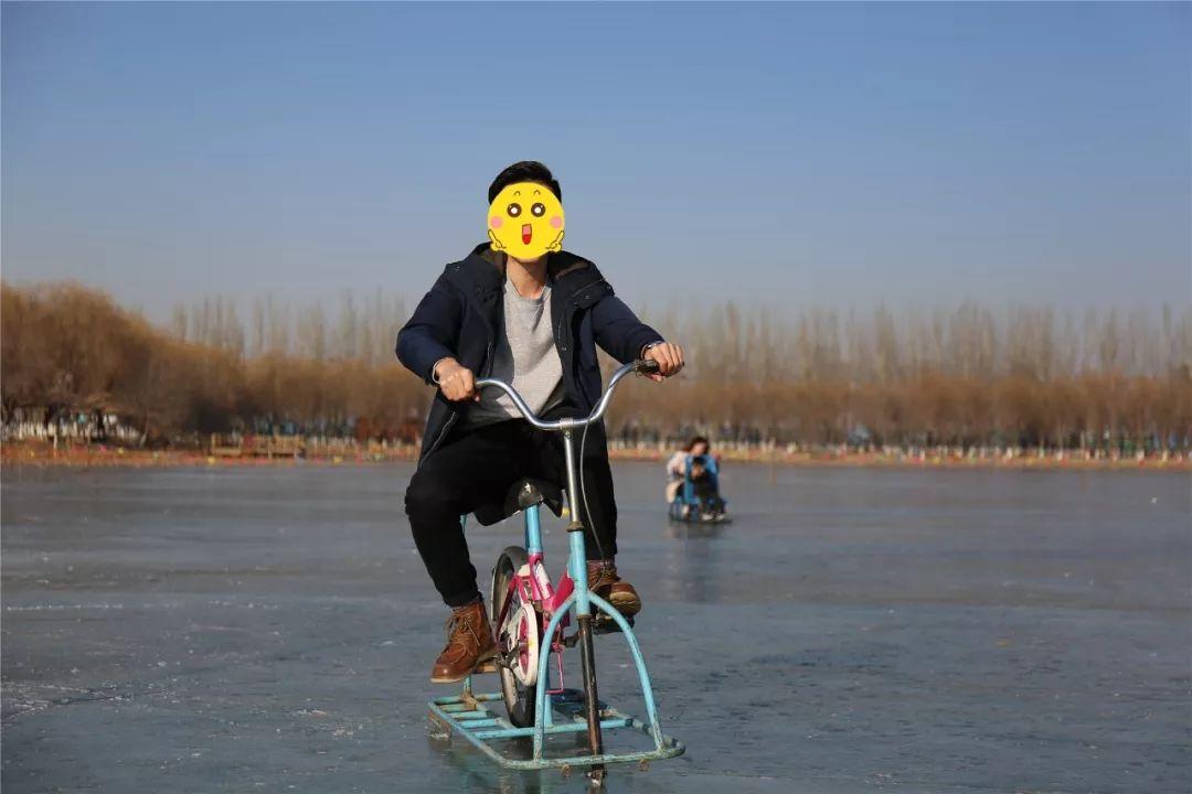 宁夏十大适合亲子旅游的地方2026年本年度热度口碑双榜对比
