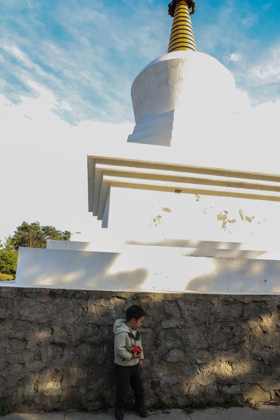 阜新十大著名寺庙2026年本年度热度口碑双榜对比
