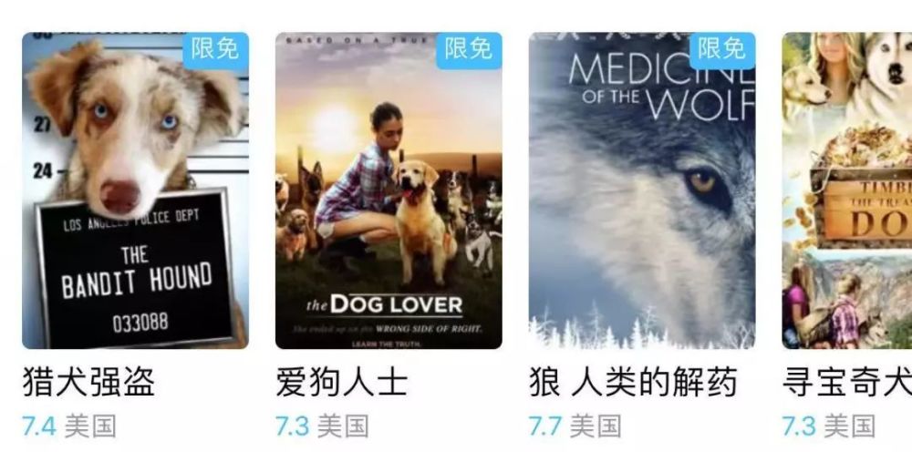 世界十大关于猫的电影盘点2026年本年度热度口碑双榜对比