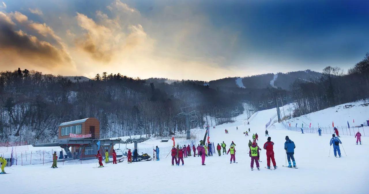 哈尔滨十大雪景景点2026年本年度热度口碑双榜对比