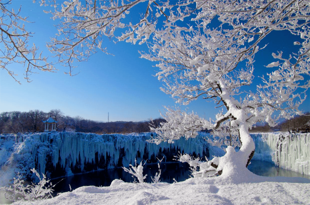 哈尔滨十大雪景景点2026年本年度热度口碑双榜对比