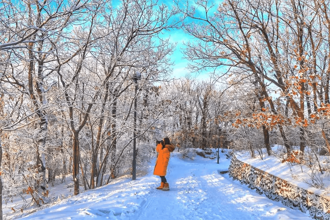 哈尔滨十大雪景景点2026年本年度热度口碑双榜对比