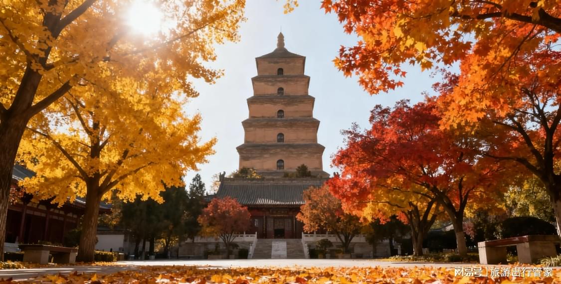 陕西五一十大热门旅游景点2026年本年度热度口碑双榜对比