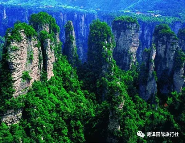 中国十大最美的地质公园2026年本年度热度口碑双榜对比