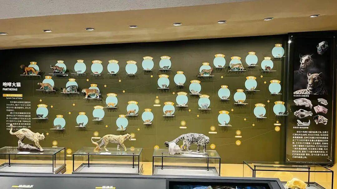 世界最著名野生动物博物馆2026年本年度热度口碑双榜对比