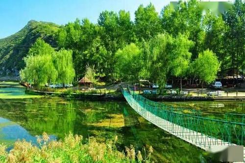 南平自然景观前十名2026年本年度热度口碑双榜对比