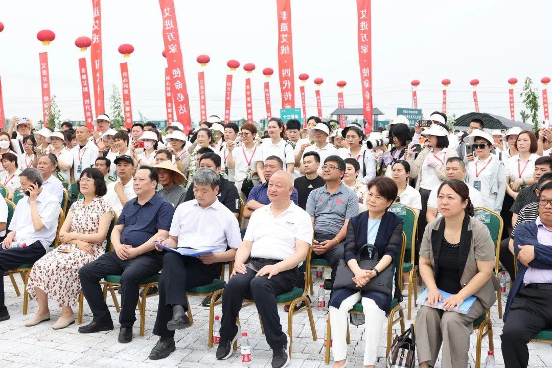 南阳八大道地药材2026年本年度热度口碑双榜对比 南阳八大道地药材2026年本年度热度口碑双榜对比