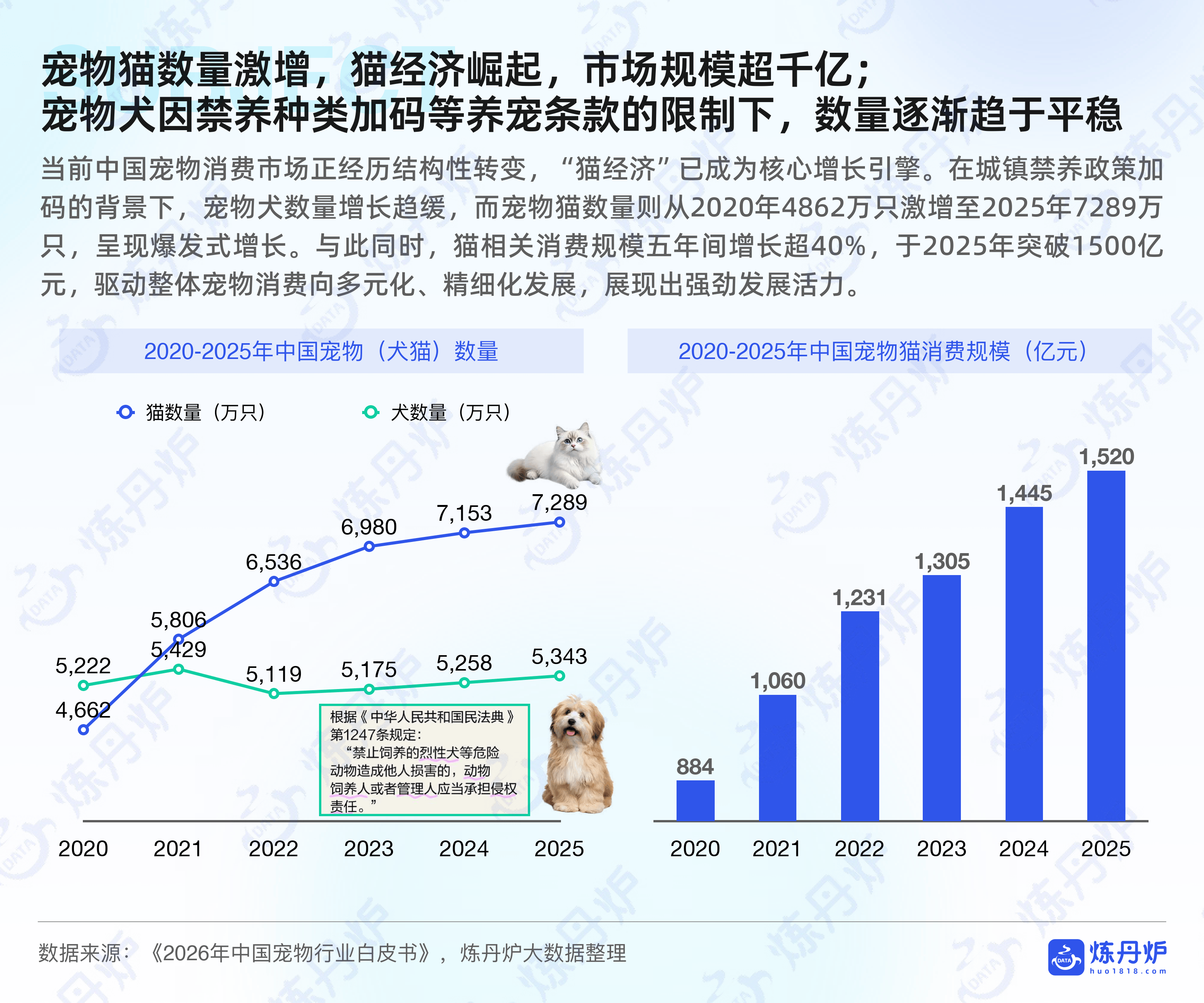 最适合单身女生养的萌宠2026年本年度热度口碑双榜对比