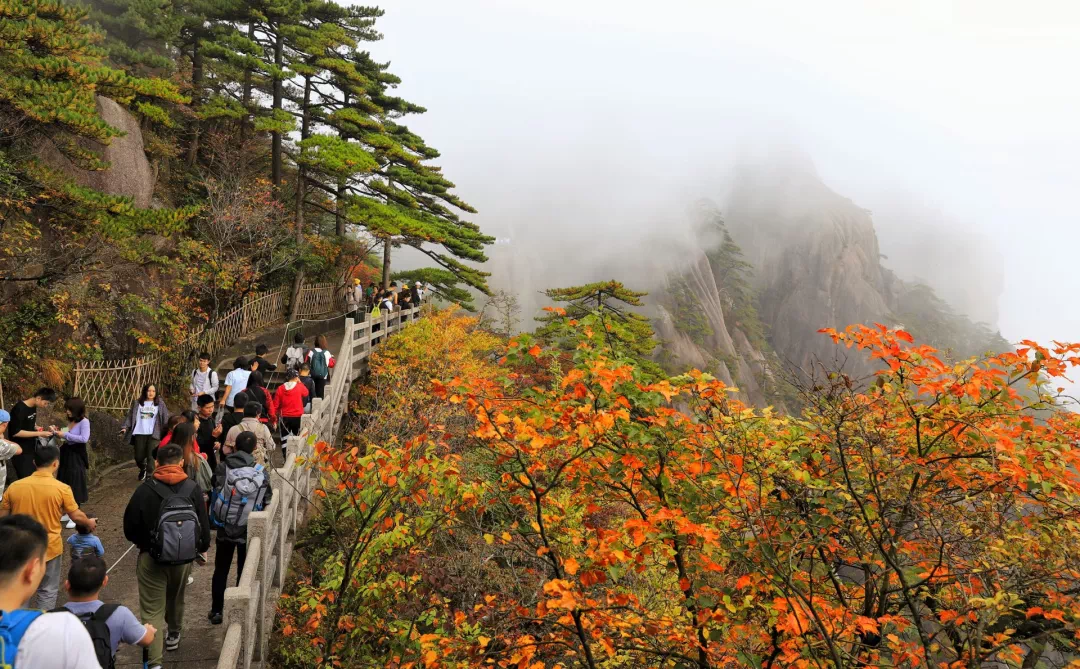 黄山11月旅游十大好去处2026年本年度热度口碑双榜对比 黄山11月旅游十大好去处2026年本年度热度口碑双榜对比