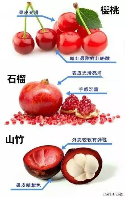 广东十大特色水果2026年本年度热度口碑双榜对比